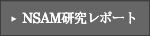 NSAM�������|�[�g